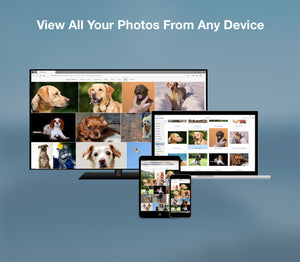 LAMU Portable Photo Organizer 1TB Sky Blue for Windows. All your photos in one place, organized, portable, accessible.
